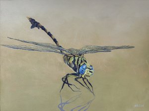 Libelle, 2009