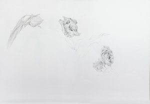 Estella rijnveld 1, 2013