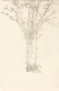 Arbre (Baum) von Odilon Redon