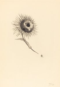 Vignette