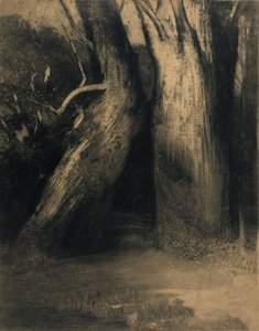 Zwei Bäume von Odilon Redon