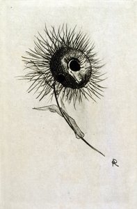 Illustration für 