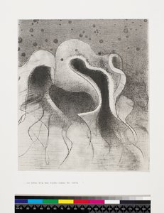 Die Tiere des Meeres rund wie Schläuche, 1896 von Odilon Redon