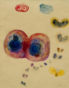 Schmetterlinge von Odilon Redon