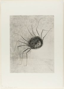 Spinne von Odilon Redon