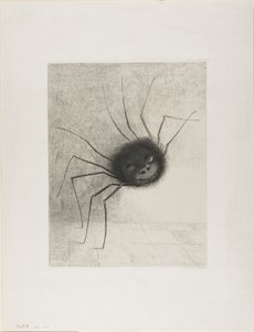 Spinne