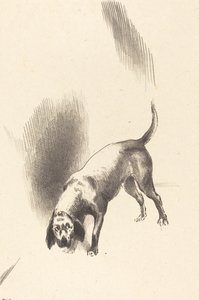 Der Hund