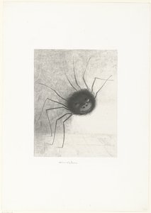 Die Spinne von Odilon Redon