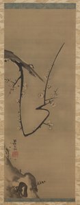 Prunus, Hängerolle, ca. 1700
