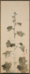 Weiße Stockrosen, Edo-Zeit, spätes 17. bis frühes 18. Jahrhundert von Ogata Korin