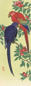 Ein roter und ein blauer Papagei, von dem japanischen Künstler Ohara Koson von Ohara Koson