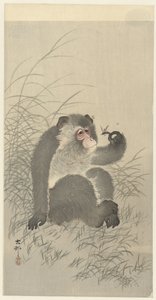 Affe mit Insekt von Ohara Koson