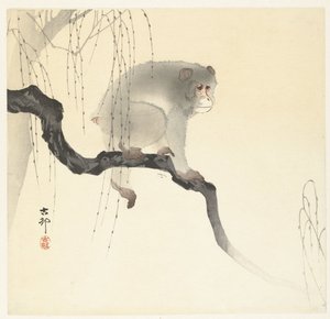 Affe auf Baumzweig von Ohara Koson