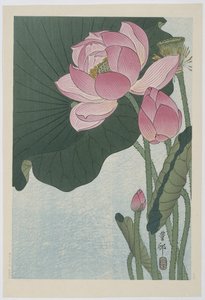 Blühende Lotusblumen von Ohara Koson