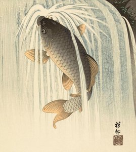 Karpfen unter einem Wasserfall von Ohara Koson