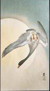 Flug der Ente im Mondlicht. Xylographie und japanischer Druck von Ohara Koson von Ohara Koson