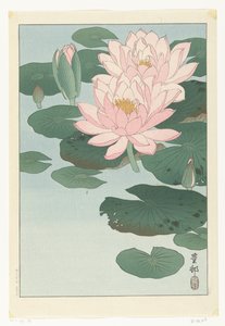 Blühende Seerose von Ohara Koson