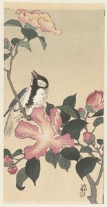 Kohlmeise auf einem Ast mit rosa Blumen