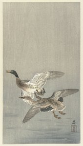 Entenpaar von Ohara Koson