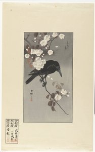 Krähe und Kirschblüte von Ohara Koson