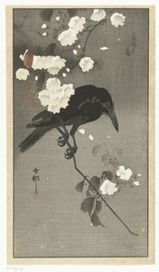 Krähe mit Kirschblüte von Ohara Koson