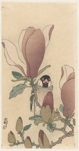 Spatz auf blühendem Magnolienzweig von Ohara Koson
