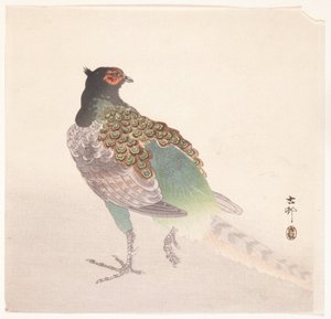 Fasan von Ohara Koson