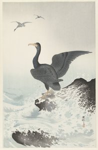 Rotmaskenkormoran auf Felsen von Ohara Koson