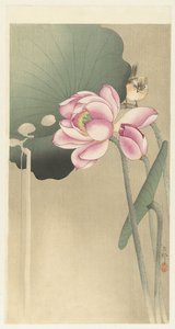 Singvogel und Lotus von Ohara Koson