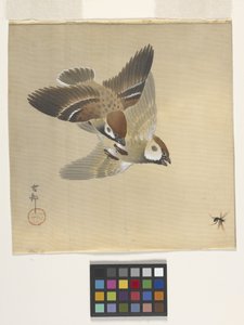 Spatzen jagen fliegende Insekten von Ohara Koson