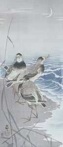 Drei Sandpiper am Wasser vor Schilf (Farbholzschnitt) von Ohara Koson
