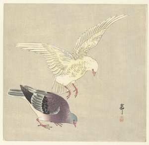 Zwei Tauben von Ohara Koson