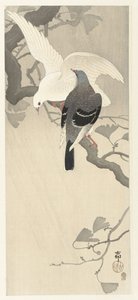Zwei Tauben auf einem Ast von Ohara Koson