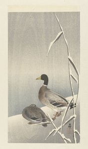 Zwei Enten auf verschneitem Schilf von Ohara Koson