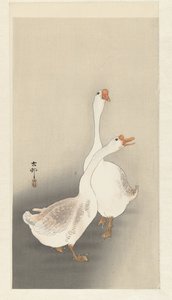 Zwei Gänse von Ohara Koson