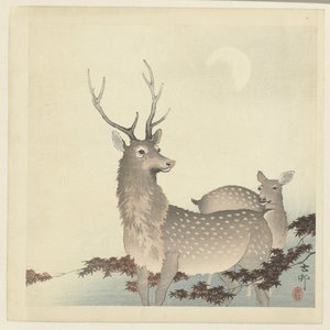 Zwei Hirsche von Ohara Koson