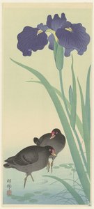 Teichhühner und Iris von Ohara Koson