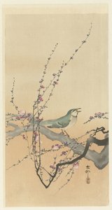 Singvogel und Pflaumenblüte