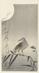 Schwarzer Reiter auf Bambuszweig von Ohara Koson