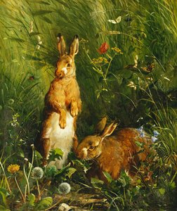 Hasen, 1878