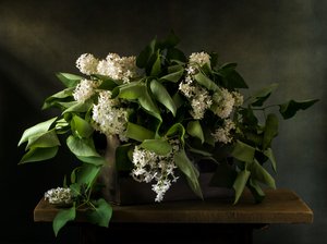 Stimmungsvolles Fliederbouquet