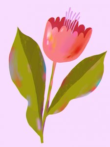 Lebendige pinke Blüte