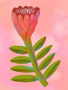 Lebendige pinke Botanik
