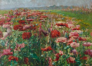 Blühender Mohn von Olga Wisinger Florian