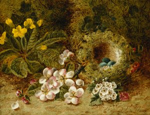 Apfelblüten, eine Primel und ein Vogelnest auf einem moosigen Ufer