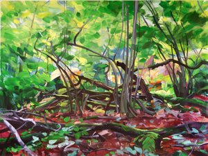 Forêt 12