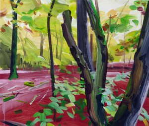 Forêt 16