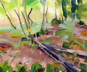 Forêt 24