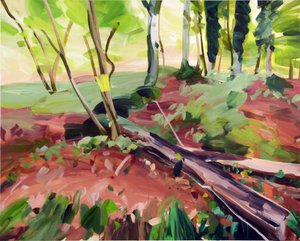 Forêt 25 von Olivier Morel