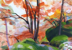 Forêt 34